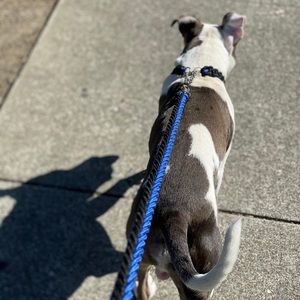 Meet your Posher, Shawn